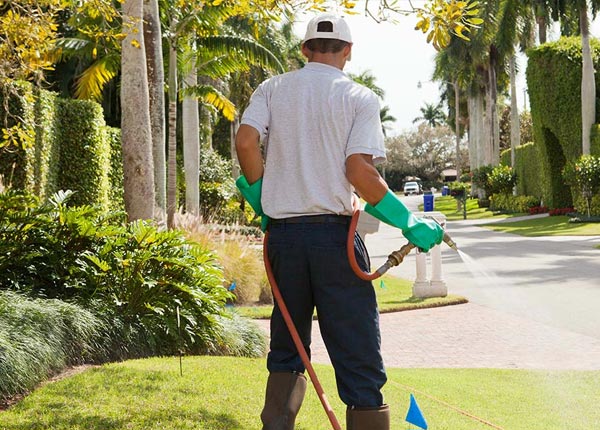 About Wynnewood PA Pest Control Pros
